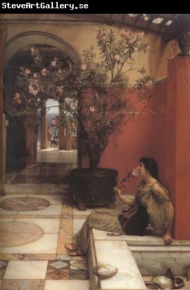 Alma-Tadema, Sir Lawrence An Oleander (mk23)